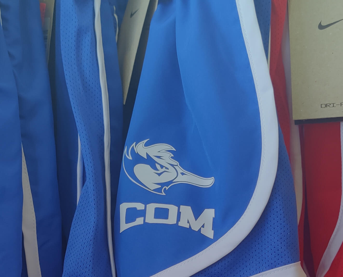 image showing college mascot design for College of the Mainland. Copyright 2024 College of the Mainland.